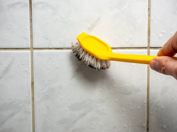 Best Attic Mold Removal  in Phoenix, NY